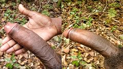 A perfect Jamaican Dick to Stretch your Tight Holes In minutes