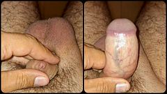 you've never seen a dick like this