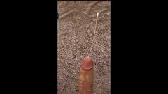 AliExpress Toy Milks Big White Cock