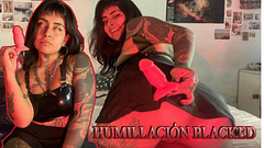 Mistress Umami te aplasta el micropene con los pies recordando al macho colombiano.