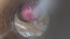 Precum in my pussy Camera In Vagina 4k