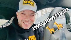 Two giraffes? On Pornhub??? 🦒🦒