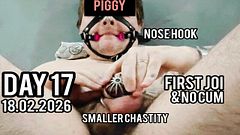 Day 17. Pig Nose, smallest chastity & no cum challenge, mistress task