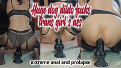 Huge dog dildo fucks trans girl's ass