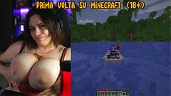 First time on Minecraft