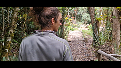 Colombia's nature calls for an offering, and so do I