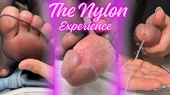 I Push Him Further Every Time – Ultimate Tease